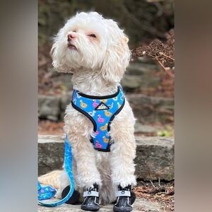 BNWT Fernie & Co pool party Blue adjustable harness - XS